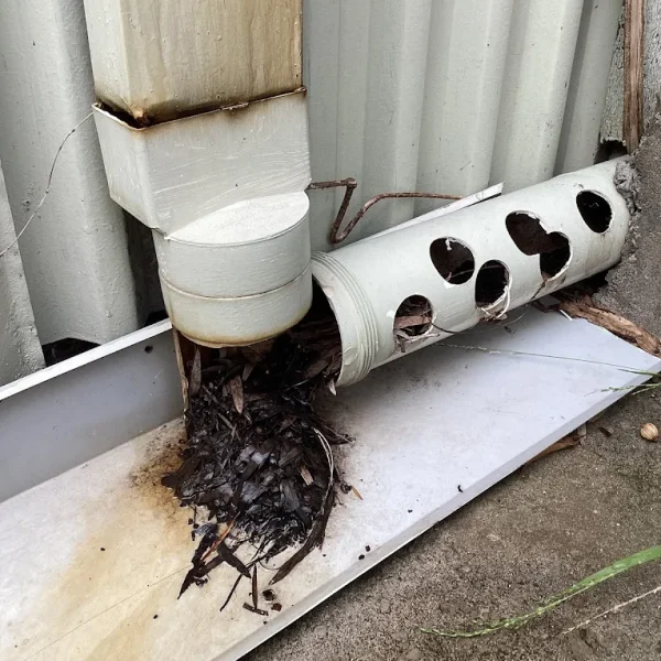 Blocked Pipe