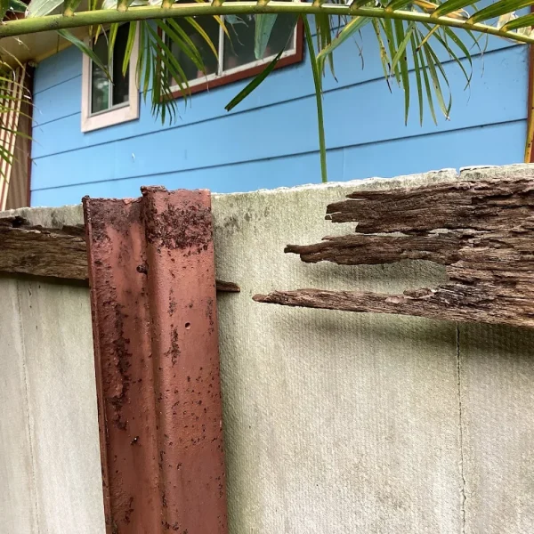 Decay and Asbestos FenceJPG