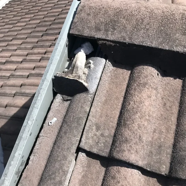 Tile Slip