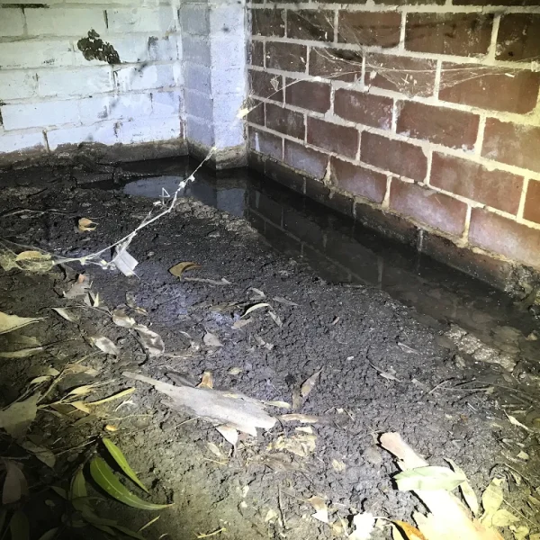 Water Pooling in Subfloor